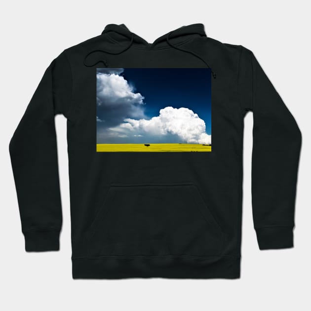 Storm over canola field Hoodie by CanadianWild418